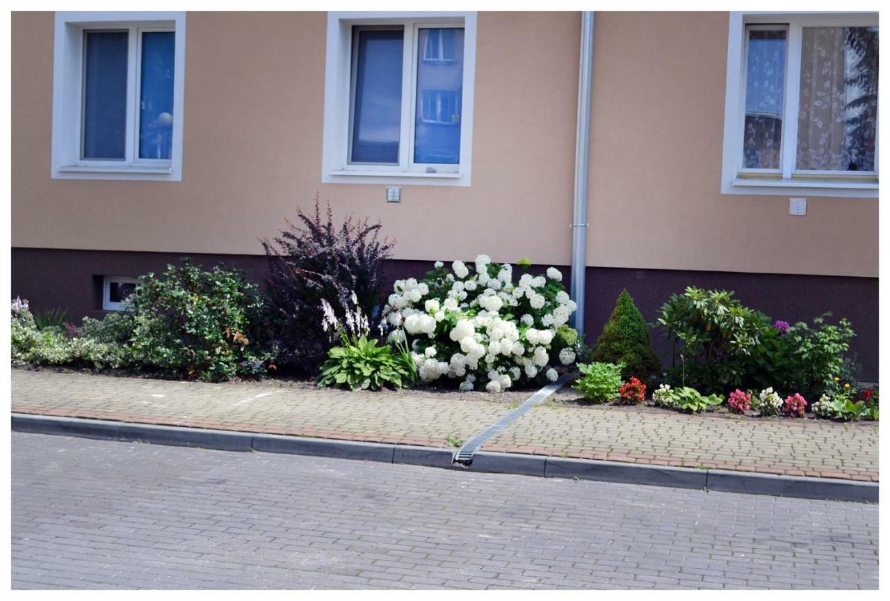 Color24 Apartament スタロバ・ボラ エクステリア 写真